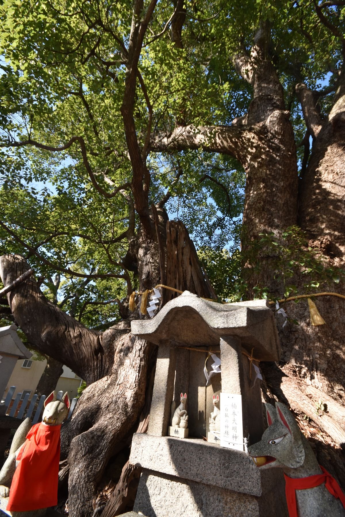 ⛩️ 모리이 신사 (守居神社)